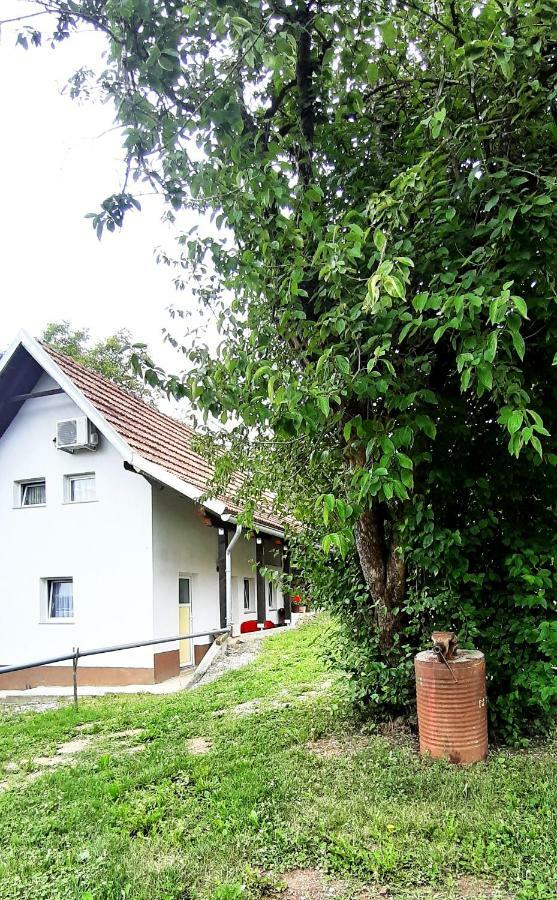 Apartman Nino Tounj Extérieur photo